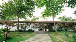 A covered outdoor area with a concrete pathway leading to a building entrance, surrounded by lush greenery and trees. - Mactan Newtown Haven (Lapu-Lapu)