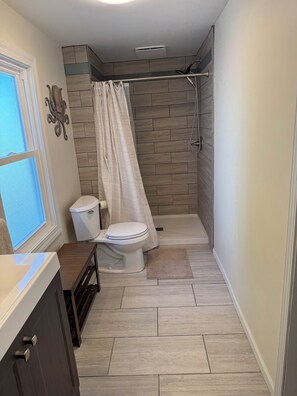 Shower, soap, toilet paper - Delightful 2-bedroom fully remodeled house with AC in charming Oshkosh (Oshkosh)
