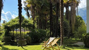 A grassy garden with palm trees and a wooden chair. - The Lemon House Lemon House at the Lake. Elegant apartment with garden (Bellagio)