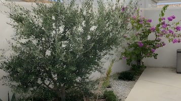 Overnatningsstedets omrÄde