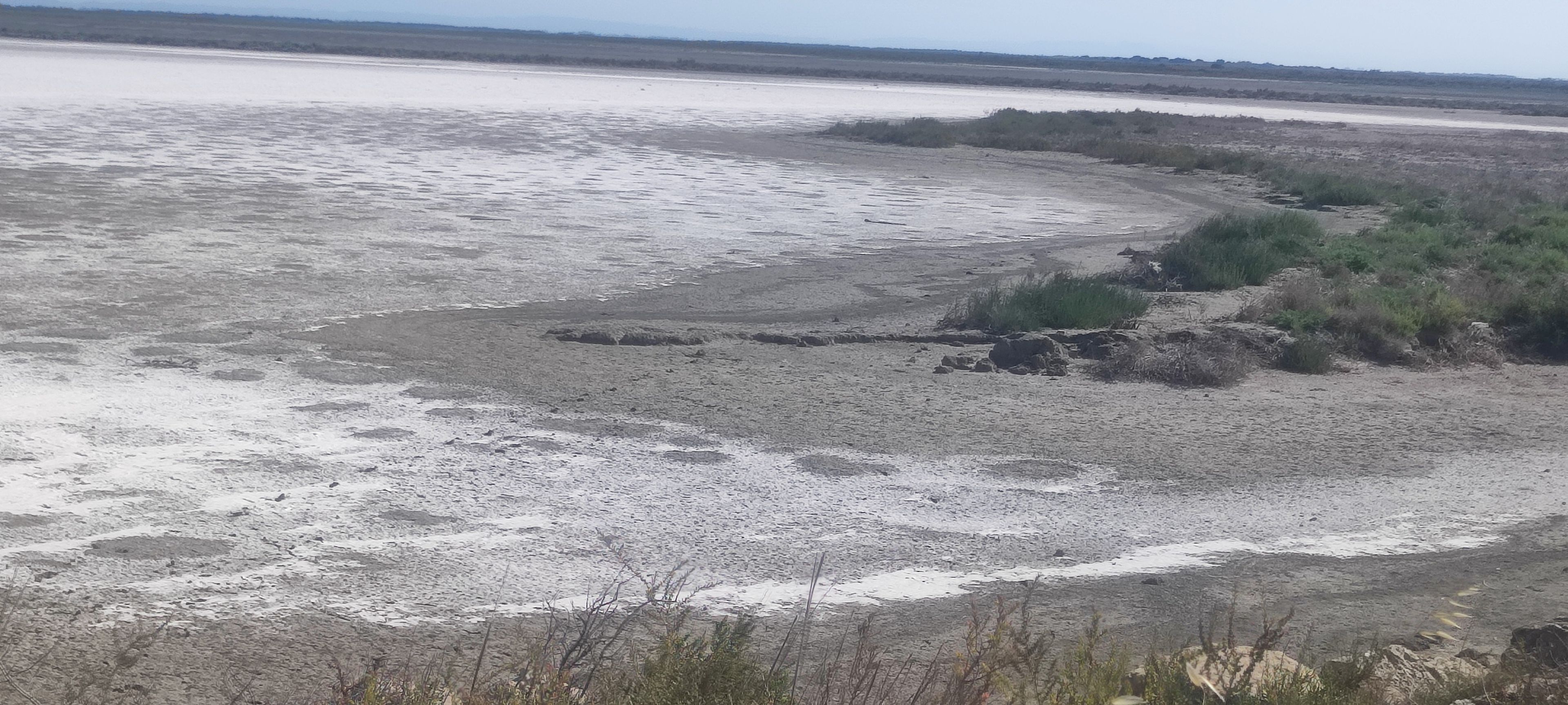 A coastal landscape with a sandy beach and sparse vegetation.
