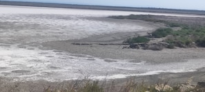 A coastal landscape with a sandy beach and sparse vegetation. - Air-Conditioned House for 4–6 Guests Near Saintes Maries de la Mer (Saintes-Maries-de-la-Mer)