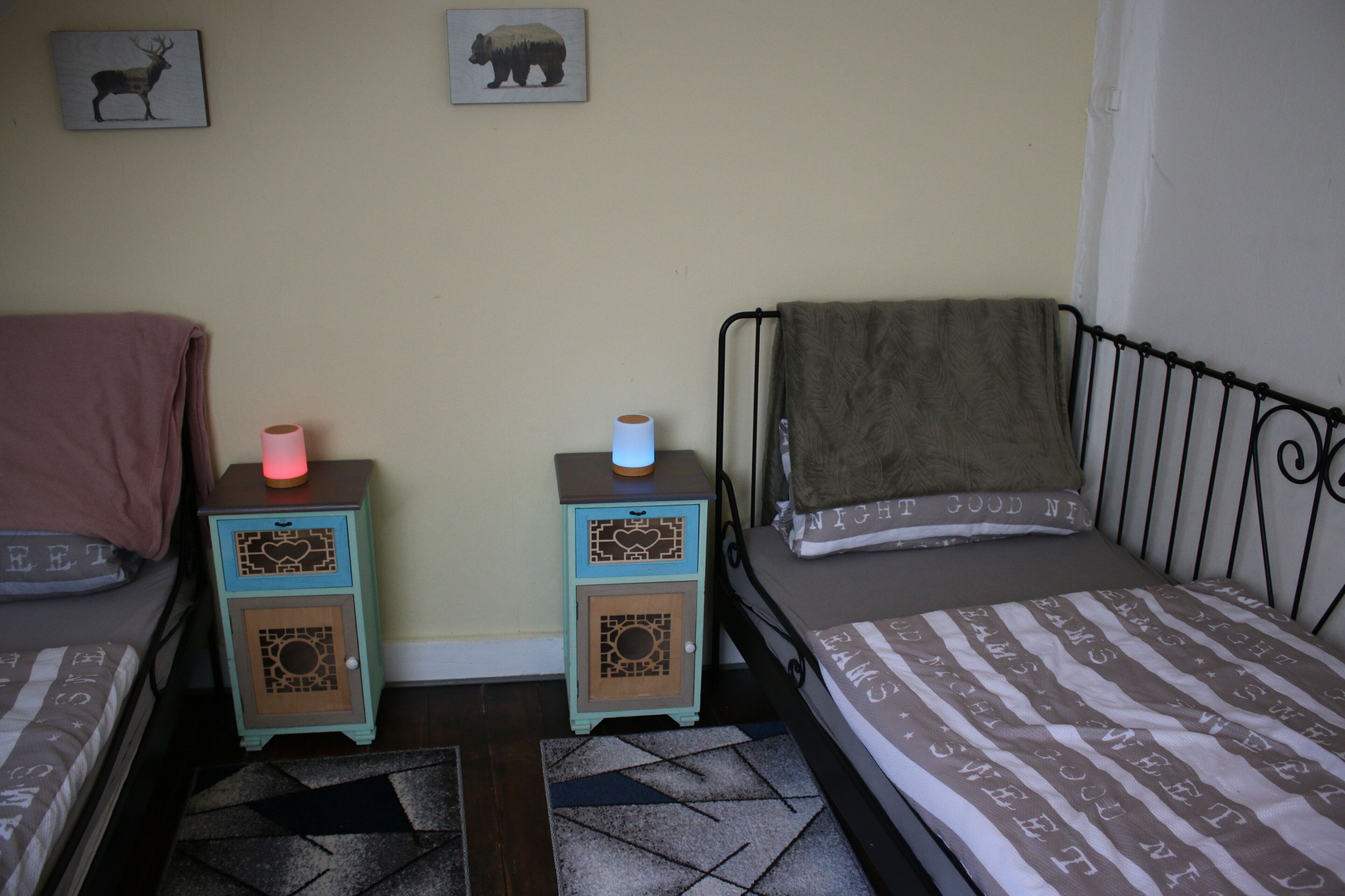 A bedroom with two beds, a nightstand with a lamp, and a rug.