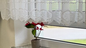 A kitchen with a sink, a window with lace curtains, and a potted plant on the windowsill. - Fewo Eichhölzle 1, 90 sqm, 2 Bedrooms, Max. 4 Guests (Münsingen)