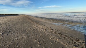 En strand med klar himmel och stilla hav.