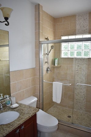 Hair dryer, towels, soap, toilet paper