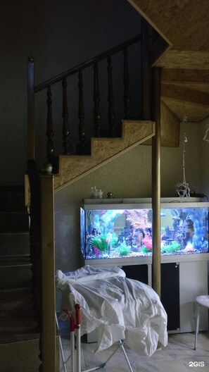 Lobby sitting area - IT Hub Homestay (Bishkek)