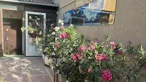 Une cour int érieure agrémentée de plantes en pot et une porte donnant accès à un bâtiment.
