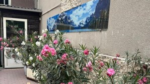 Une cour intérieure agrémentée de plantes en pot et ornée d’une fresque murale.