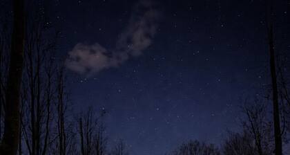 Skyview Bubbletent – Nature, luxury & stargazing just 20 min from Amsterdam