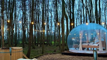 Jardines del alojamiento