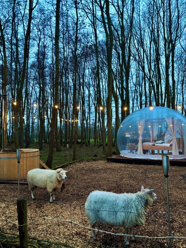 Skyview Bubbletent – Nature, luxury & stargazing just 20 min from Amsterdam