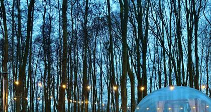 Skyview Bubbletent – Nature, luxury & stargazing just 20 min from Amsterdam