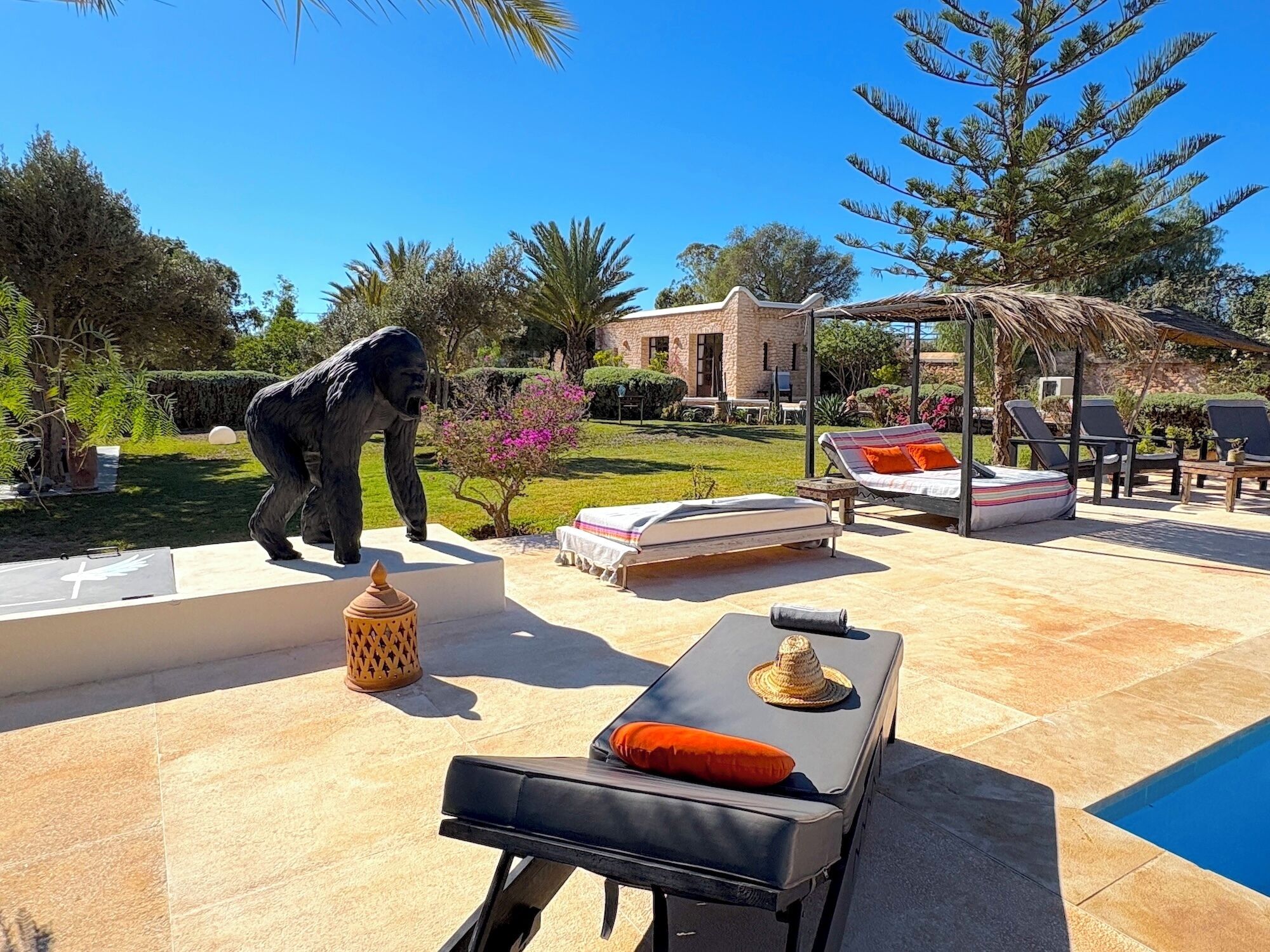 Terraza o patio
