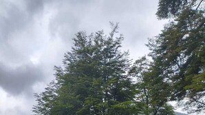 A dome-shaped structure with a wooden cabin adjacent to it, set in a grassy field with trees and mountains in the background. - Domo Valle El Encanto Peulla (Puerto Varas)