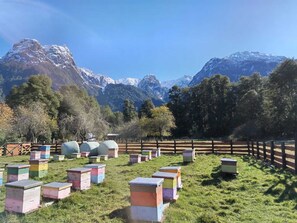 Exterior - Domo Valle El Encanto Peulla (Puerto Varas)