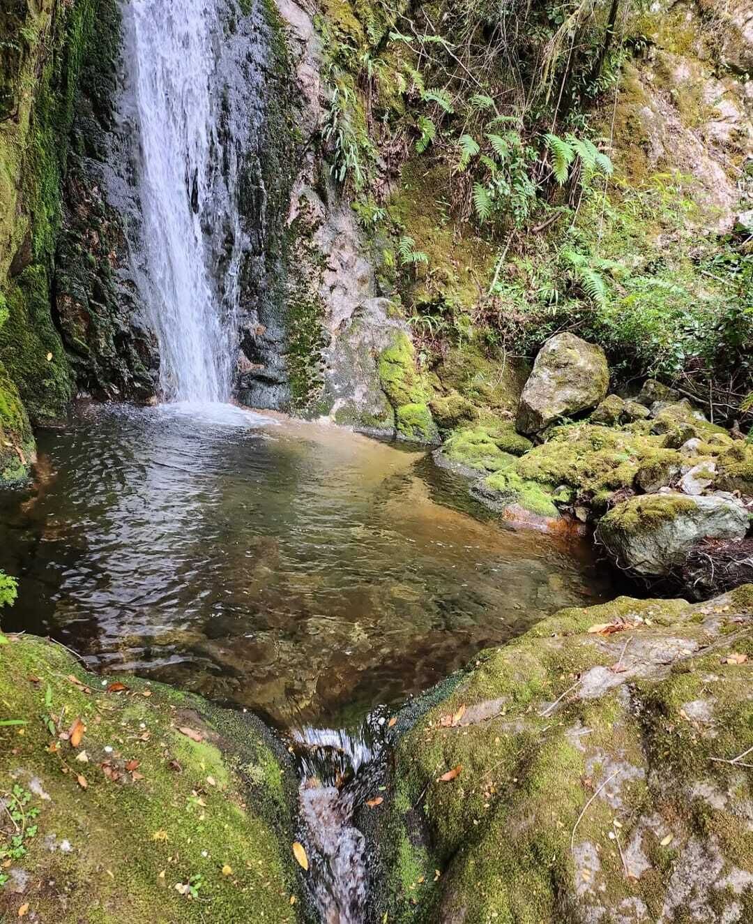 Una cascada natural que se precipita en una poza cristalina rodeada de rocas cubiertas de musgo y helechos.
