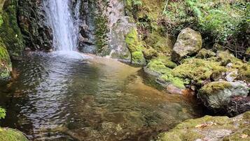Una cascada natural que se precipita en una poza cristalina rodeada de rocas cubiertas de musgo y helechos.