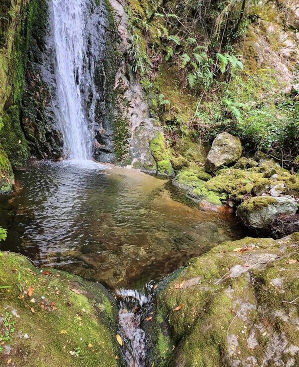 Una cascada natural que se precipita en una poza cristalina rodeada de rocas cubiertas de musgo y helechos.