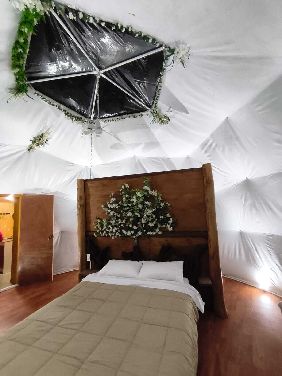 A bedroom with a wooden headboard, a bed with a quilted cover, and a hanging plant.