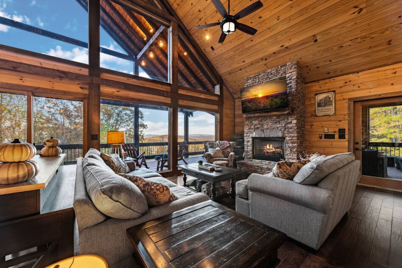 تلفزيون، مدفأة، مكتبة موسيقى