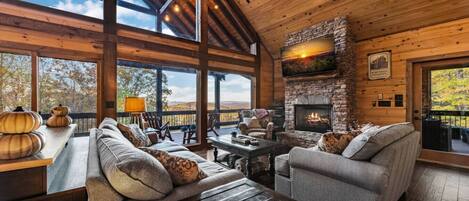 Télévision, cheminée, médiathèque