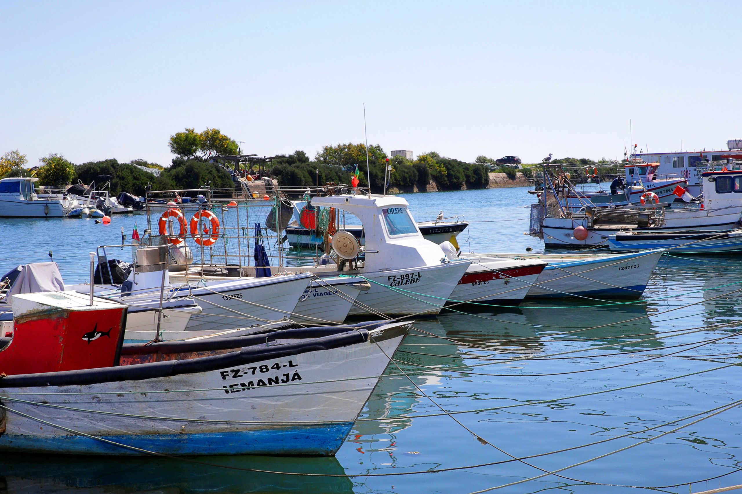 A marina with several boats docked, featuring clear water and a calm atmosphere.