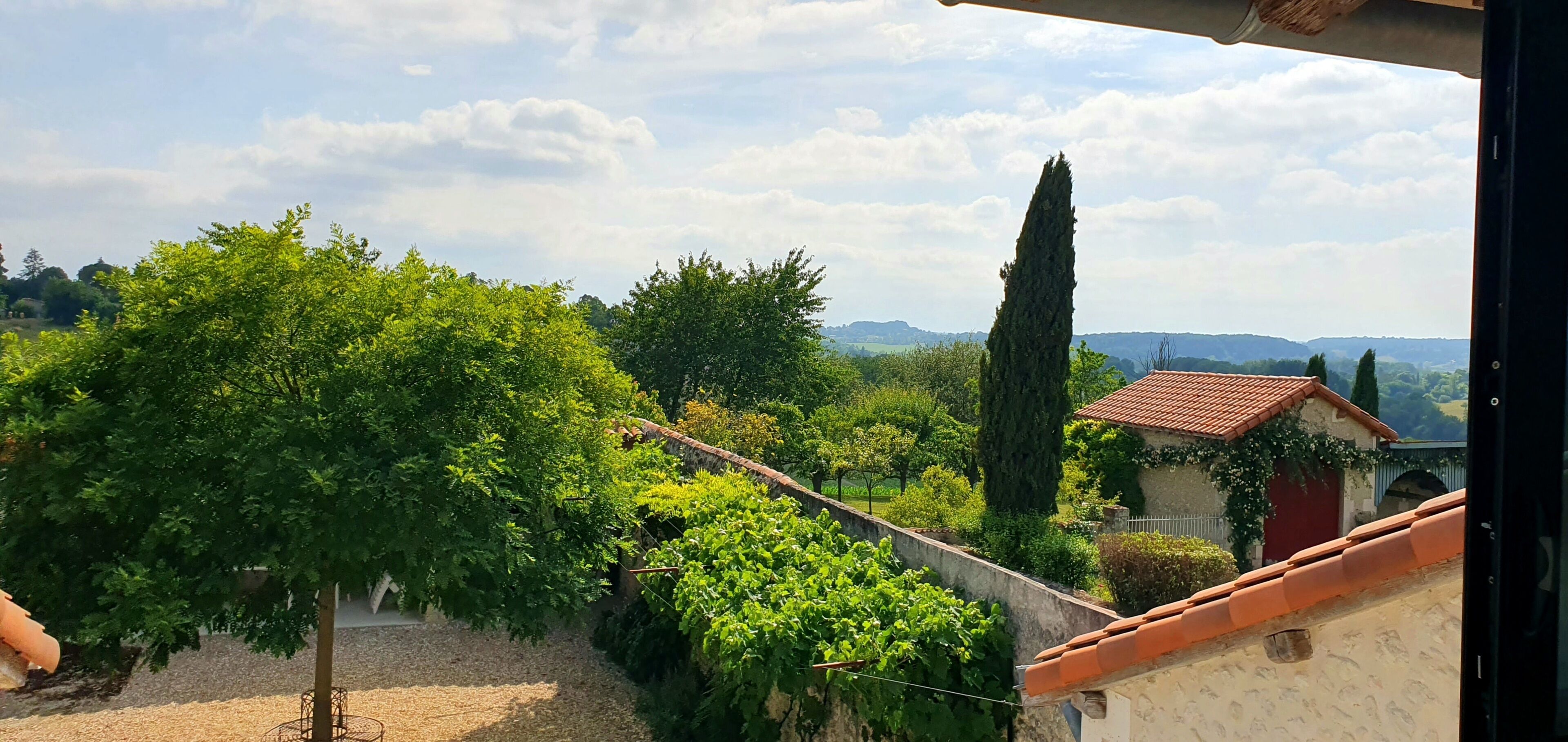 Un vignoble offrant une vue sur un bâtiment doté d’un toit rouge.