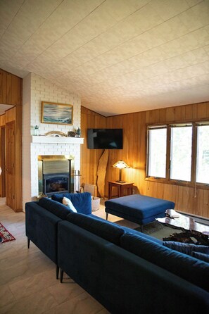 Smart TV, caminetto, libri