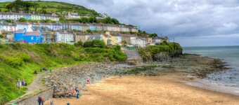 Dolphin View, New Quay
