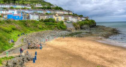 Dolphin View, New Quay