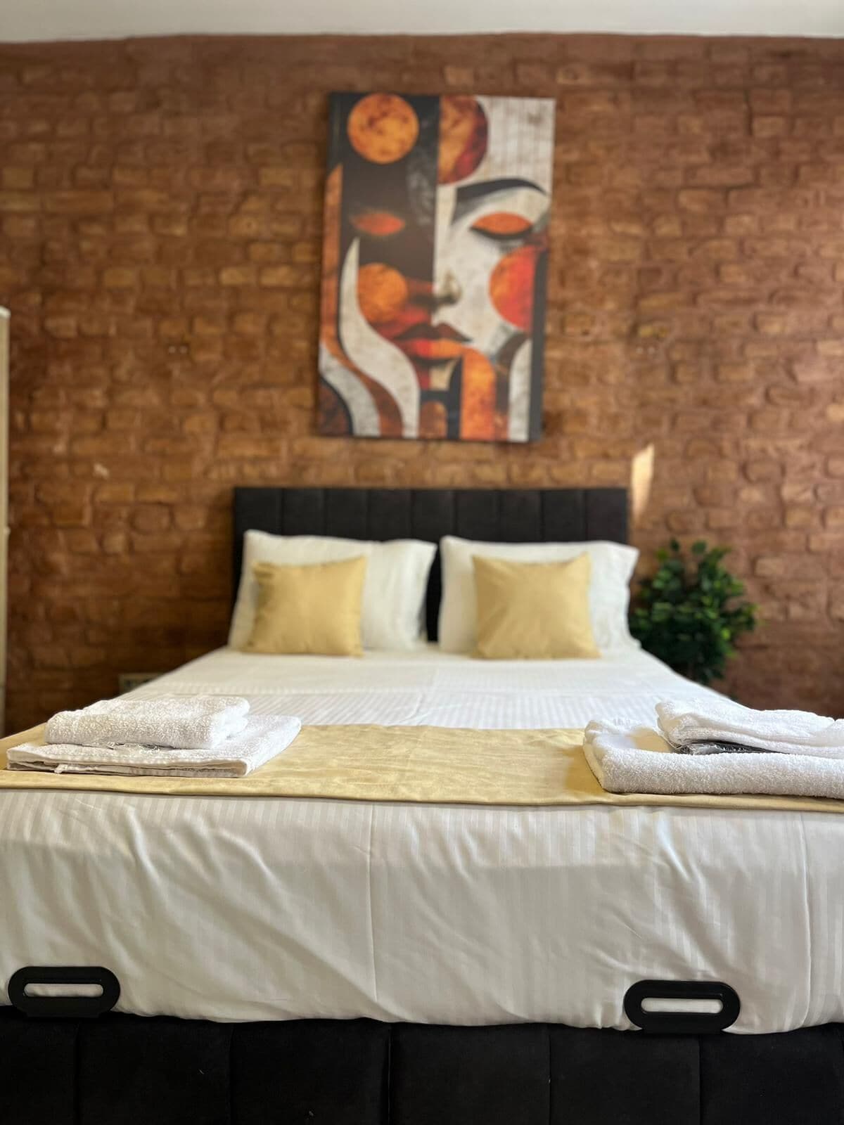 Superior-studiosuite | Pengeskab på værelset, mørklægningsgardiner, lydisolering