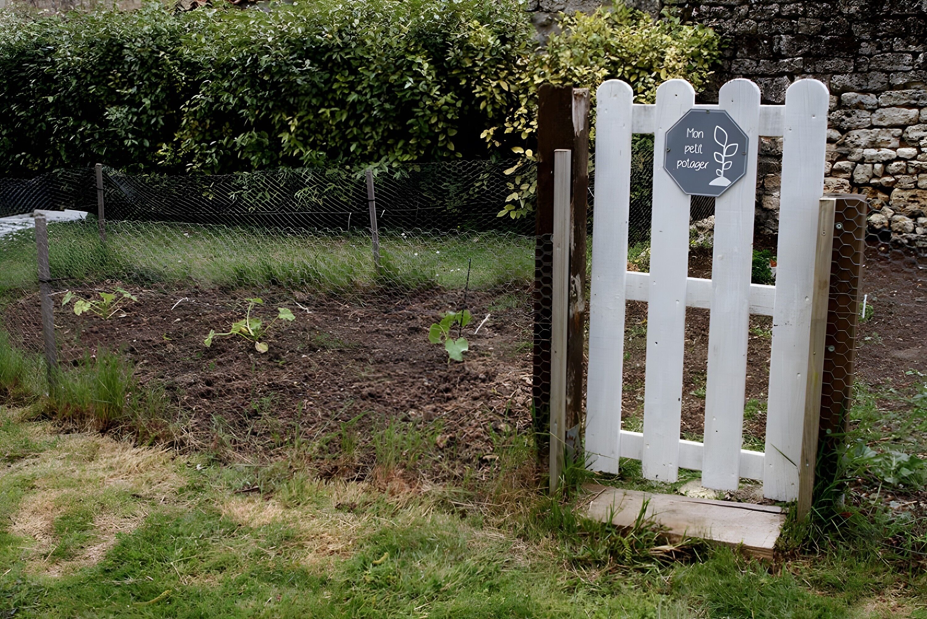 Área da propriedade