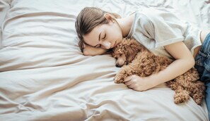Eine Person schläft in einem Bett mit einem kleinen Hund.