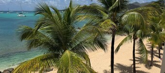 Charming studio with the beach at your feet & pool access