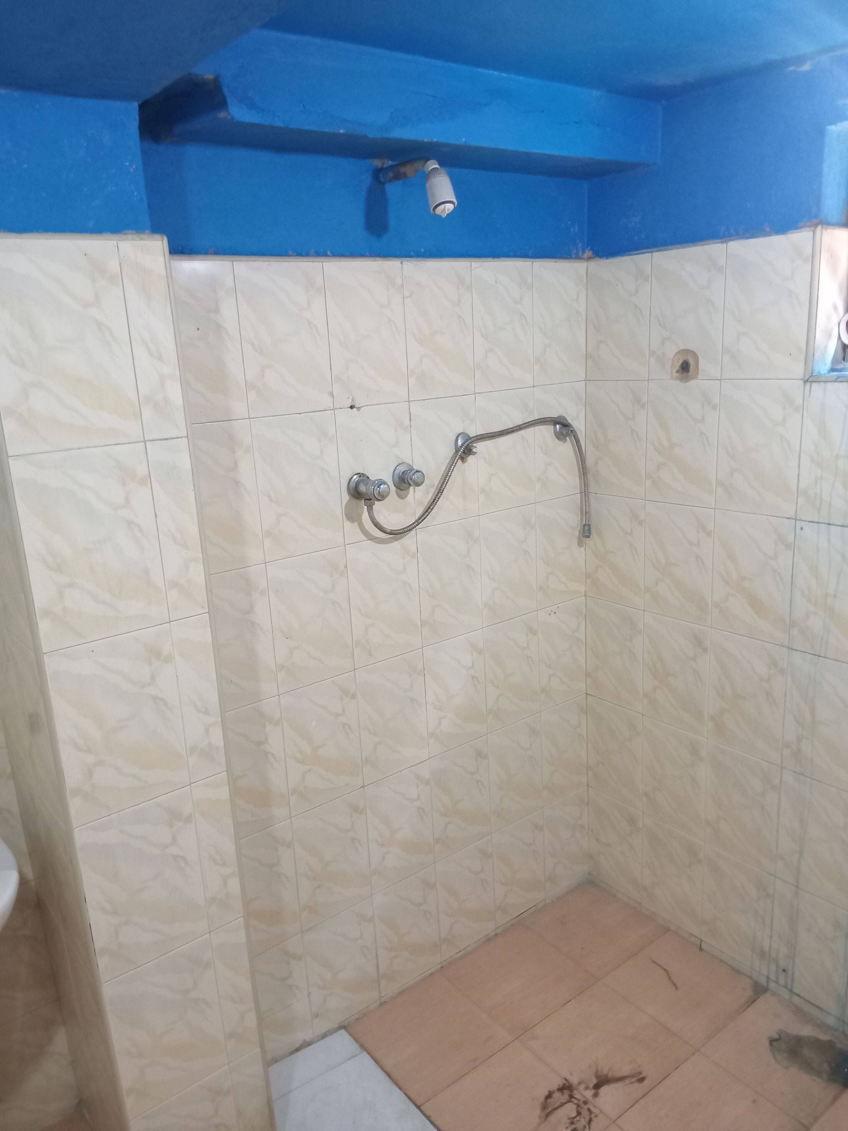 Jabón y papel de baño 