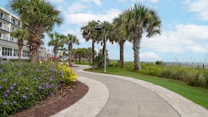 A curved pathway lined with palm trees and purple flowers, leading towards a building with balconies. - Stay In Our Winter Rental On MB Boardwalk + 100 Dollar Resort credit (Myrtle Beach)