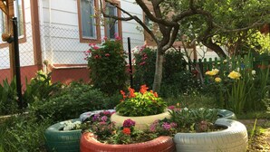 Ein Garten mit verschiedenen Pflanzen und Blumen, darunter ein Pflanzgefäß aus einem Reifen mit roten Blüten.