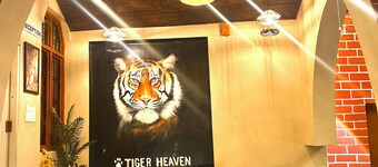 Tiger Heaven Resort