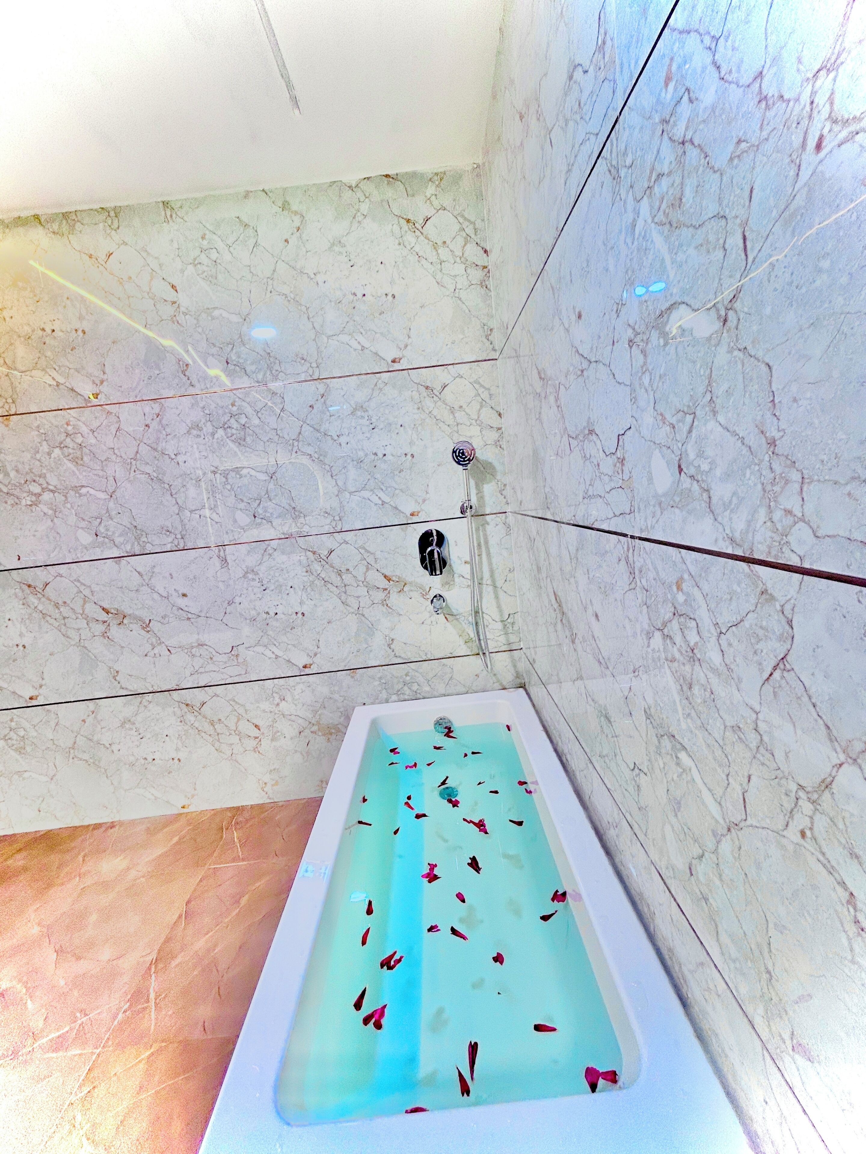 Deluxe Room | Bathroom | Separate bathtub and shower, free toiletries, hair dryer, slippers