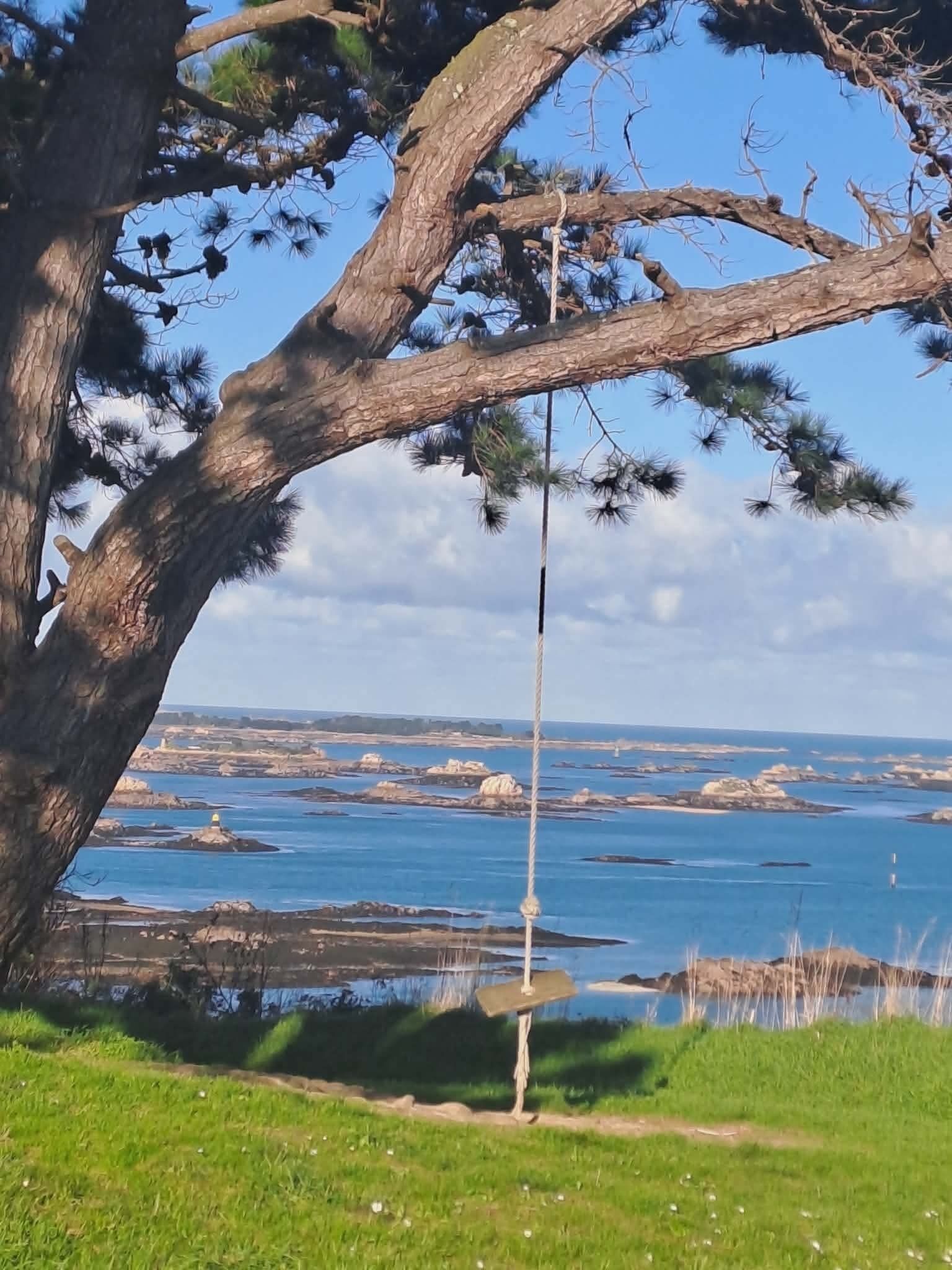 Un paysage côtier avec un grand arbre, une zone herbeuse et une vue sur la mer.