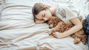 A person sleeping on a bed with a small dog. - Pied à terre Relaxation. A spacious apartment in the historic center of Verona. (Verona)