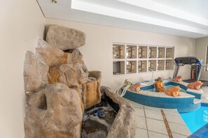 Indendørs pool, opvarmet pool