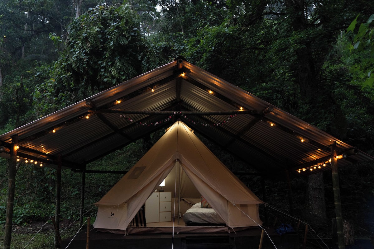 Una carpa con techo metálico y luces colgantes, rodeada de un bosque denso.