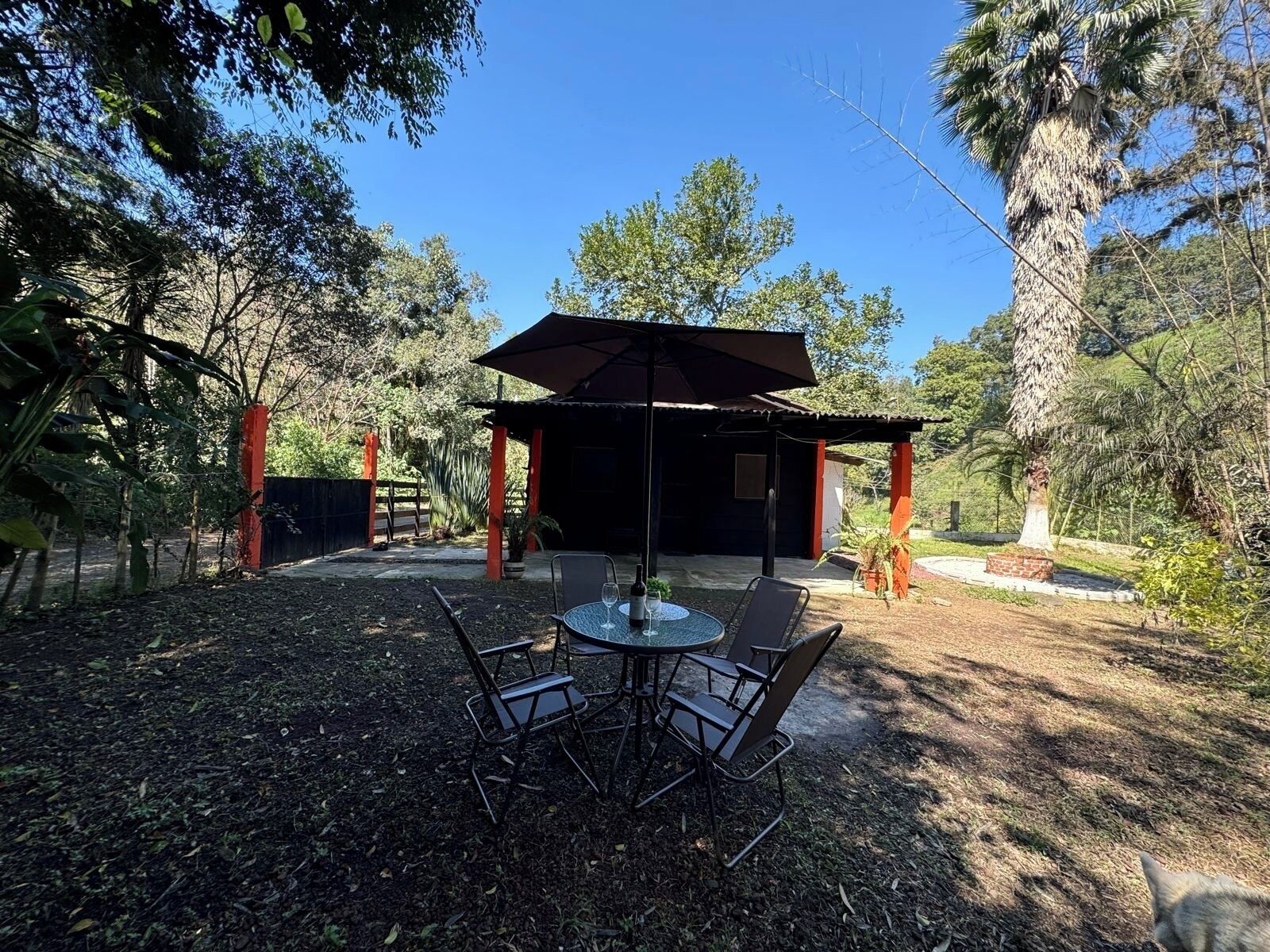 Vista desde la propiedad