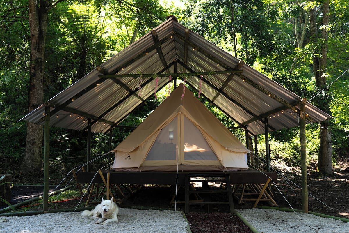 Tienda de campaña romántica, vista al jardín | Wifi gratis