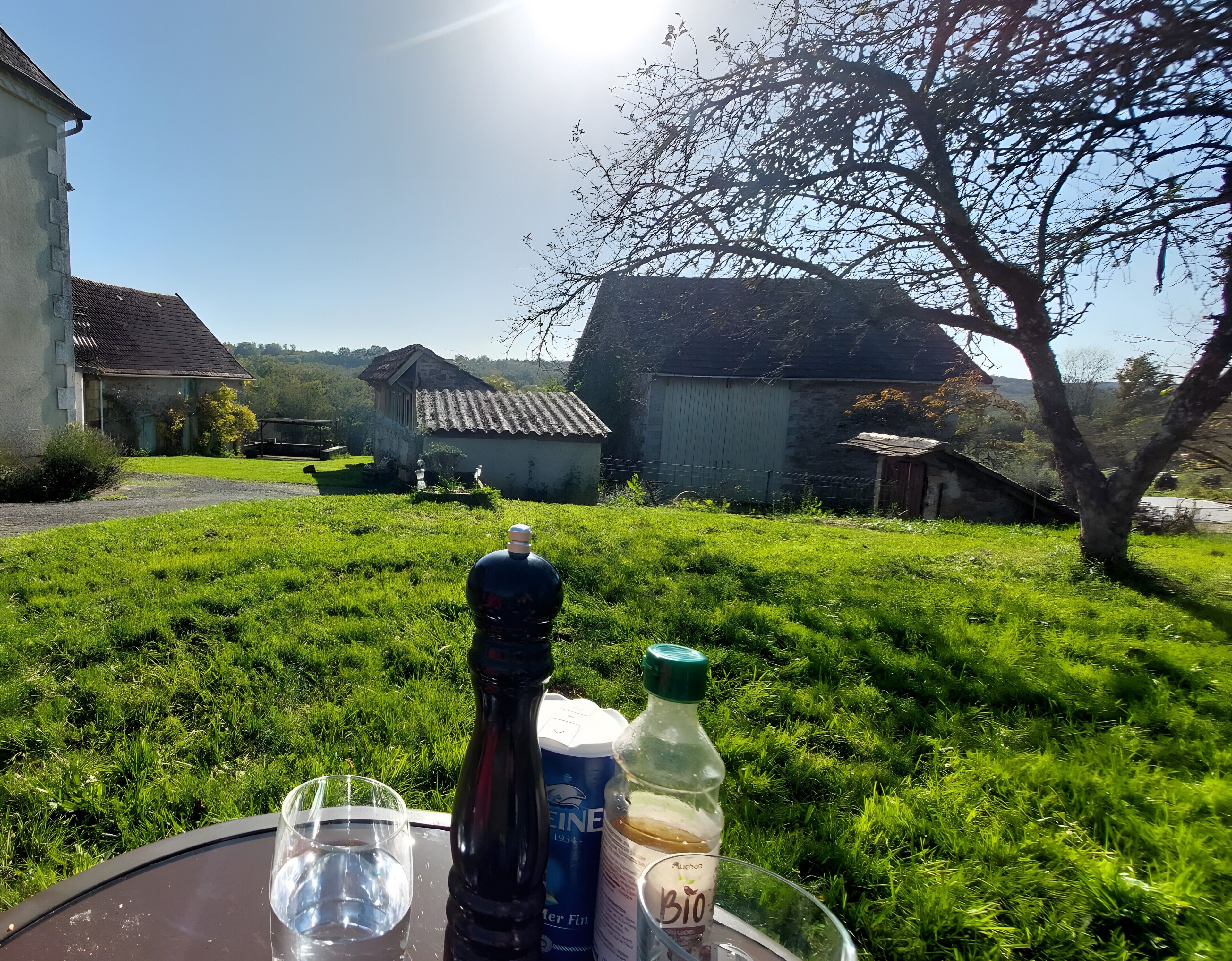 Ein grünes Freigelände mit einem Tisch, einer Flasche und einem Glas.