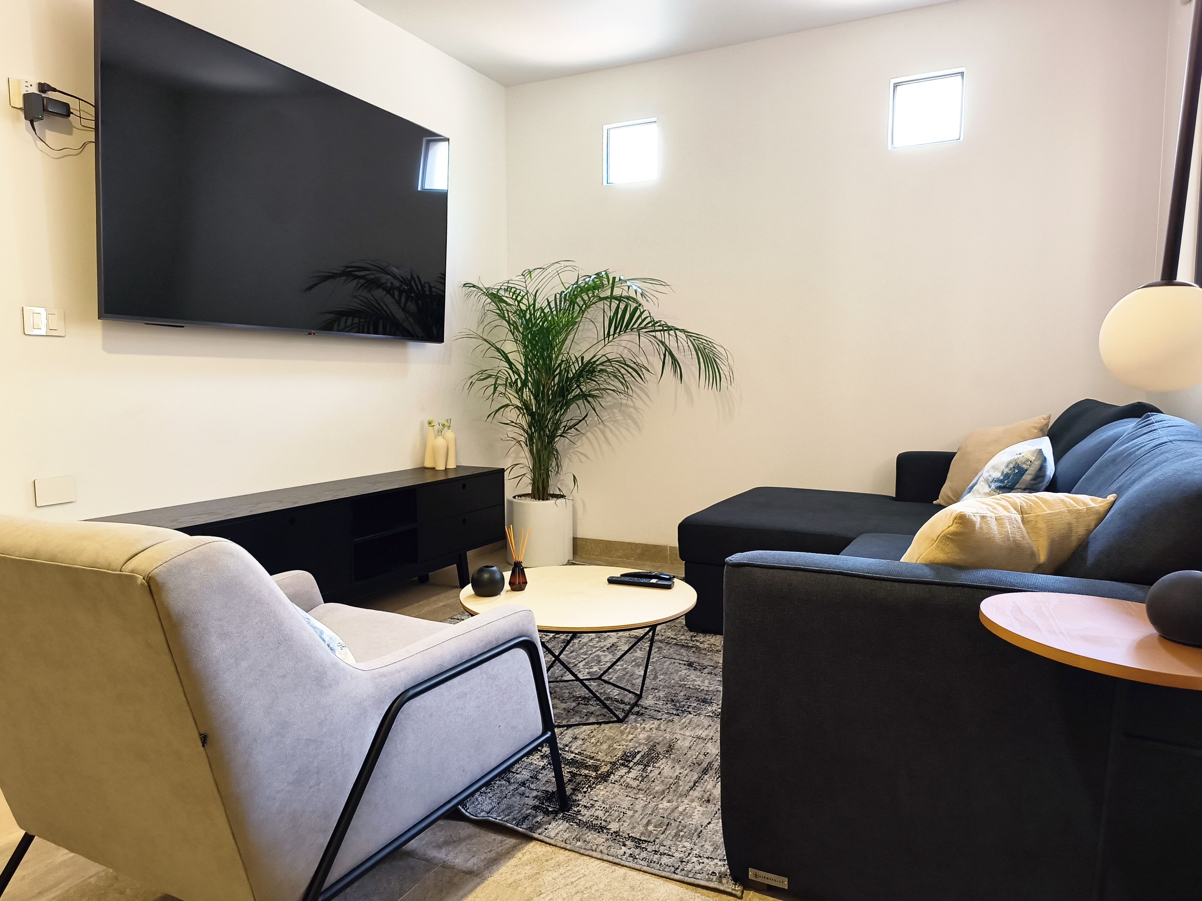 Una sala de estar moderna con un televisor de pantalla plana, un sofá, una mesita de centro y una planta en maceta.