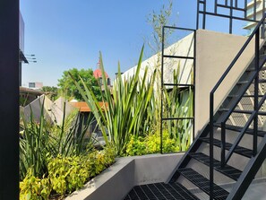 Rooftop terrace - Flats Friends Condesa-Pelotari (Mexico City)