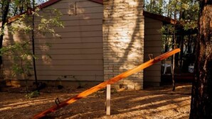 Un'altalena di legno in una zona boschiva, con una baita sullo sfondo.
